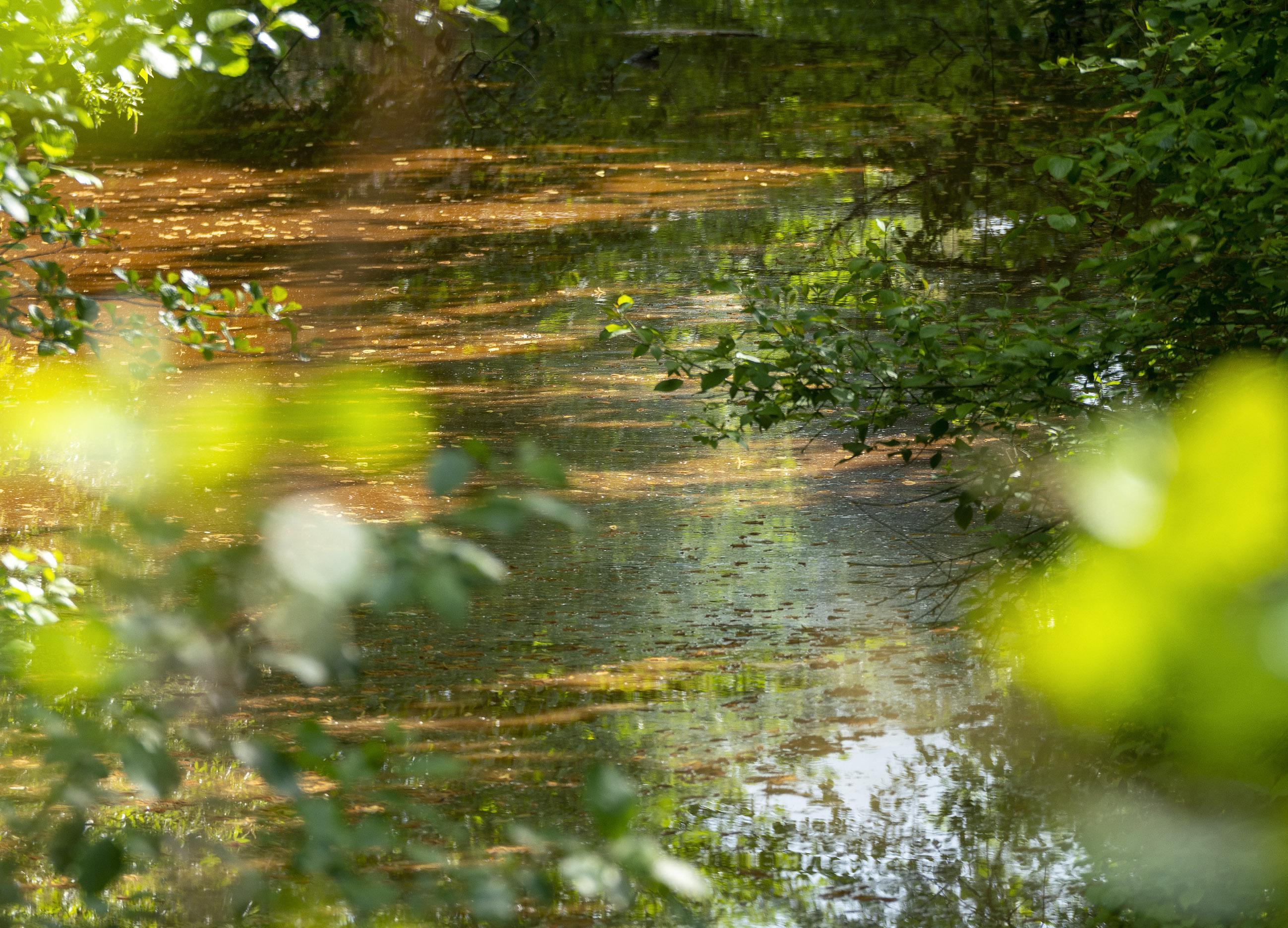 Drugsdumping Zundert